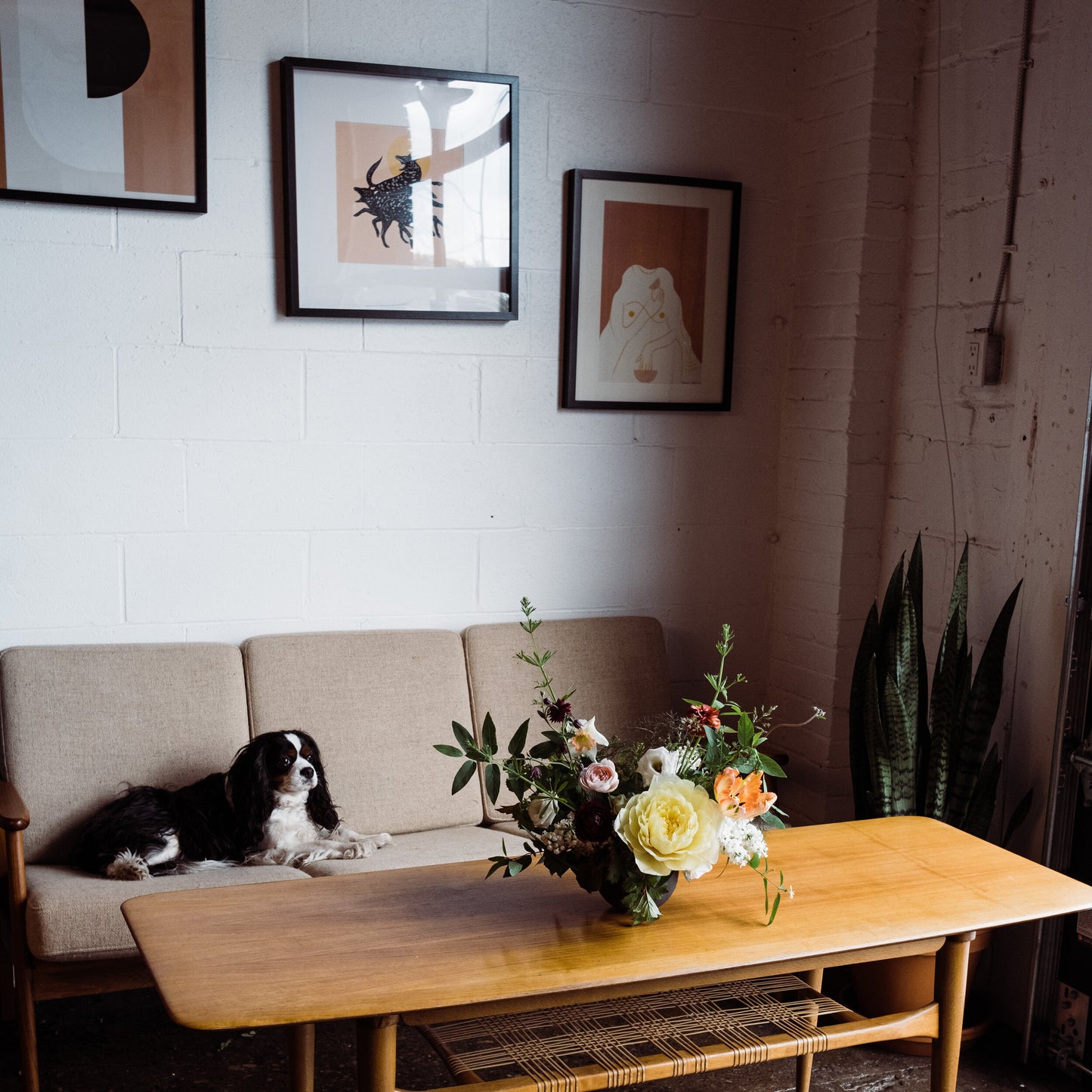 THE COFFEE TABLE